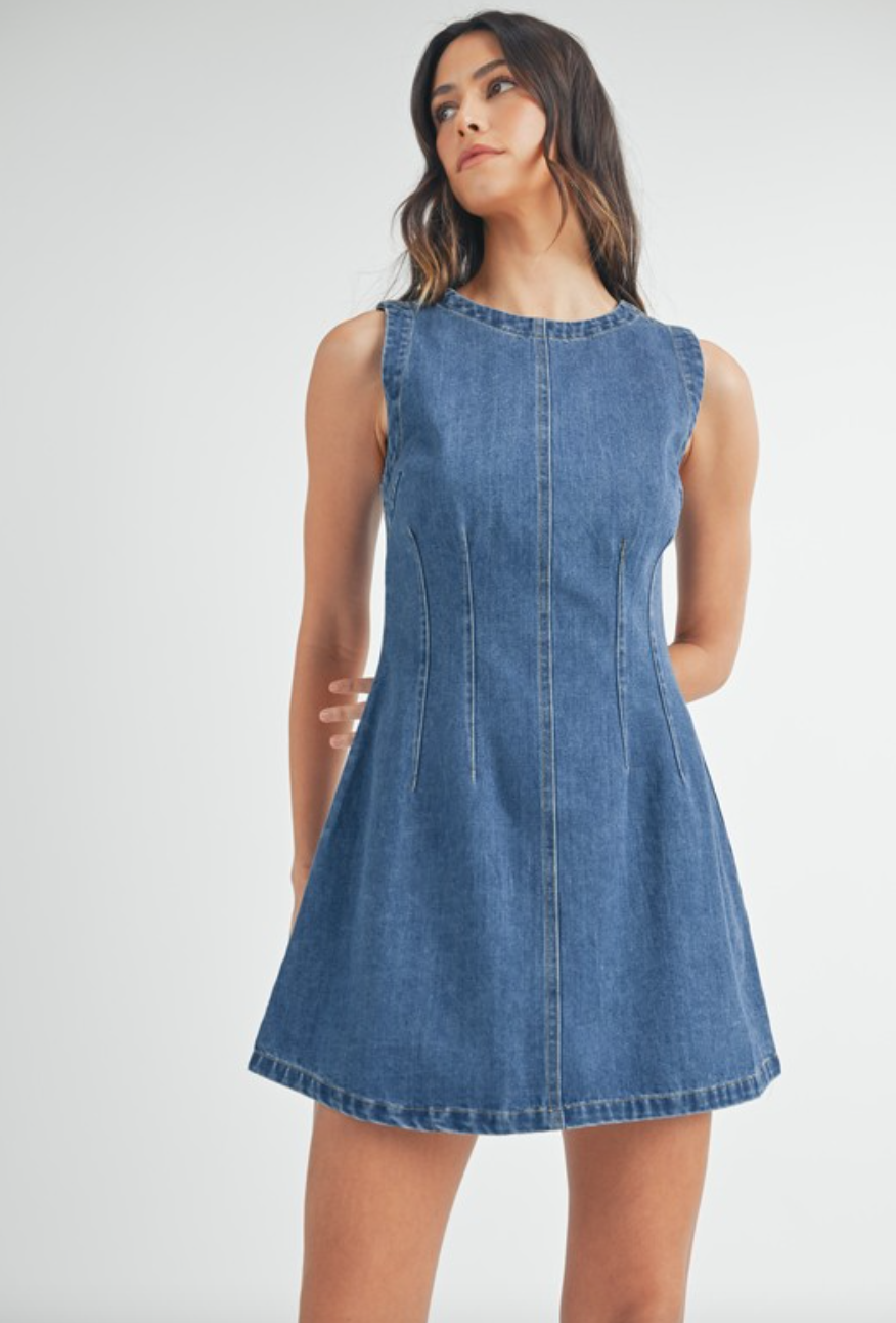 Reba Denim Dress