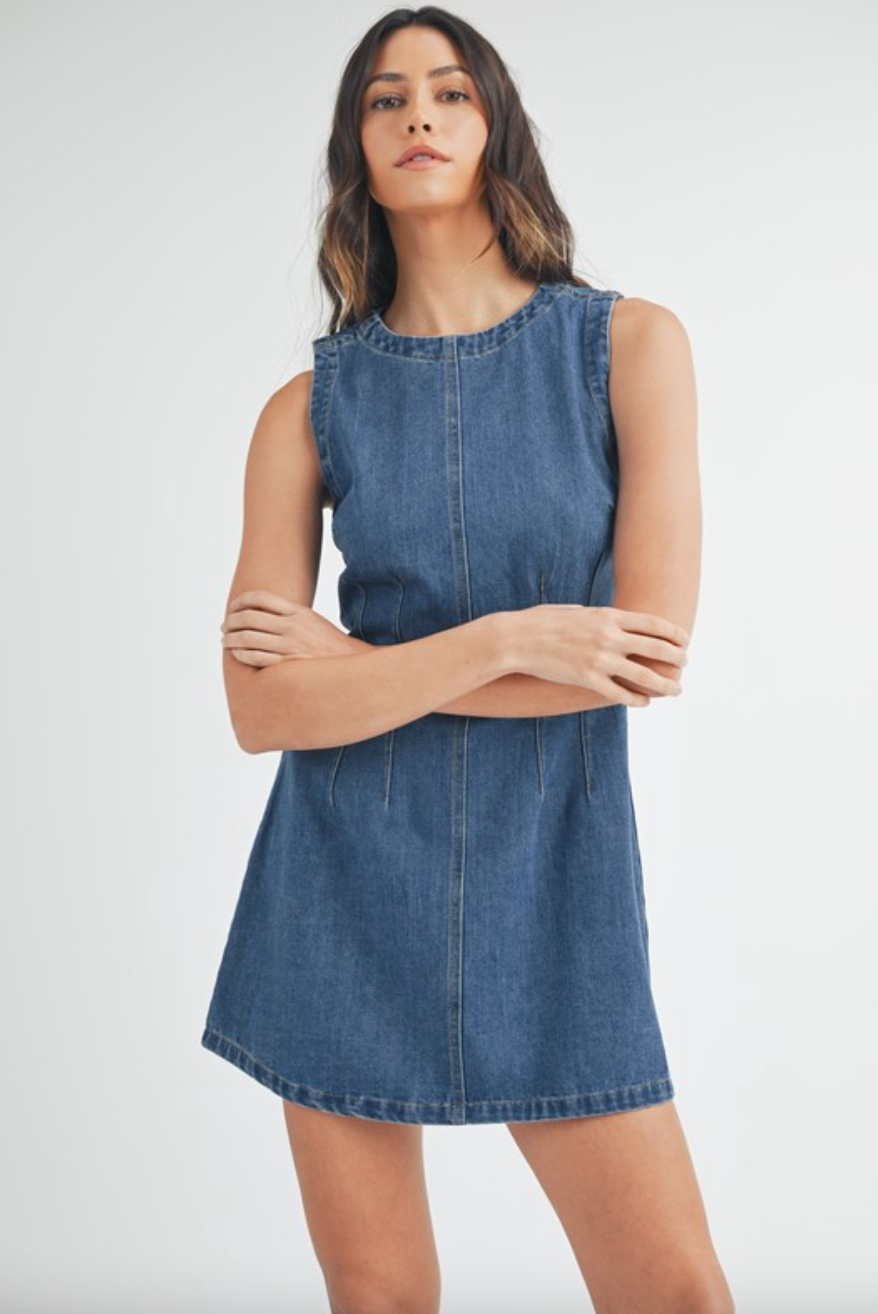 Reba Denim Dress – Stile+Grace