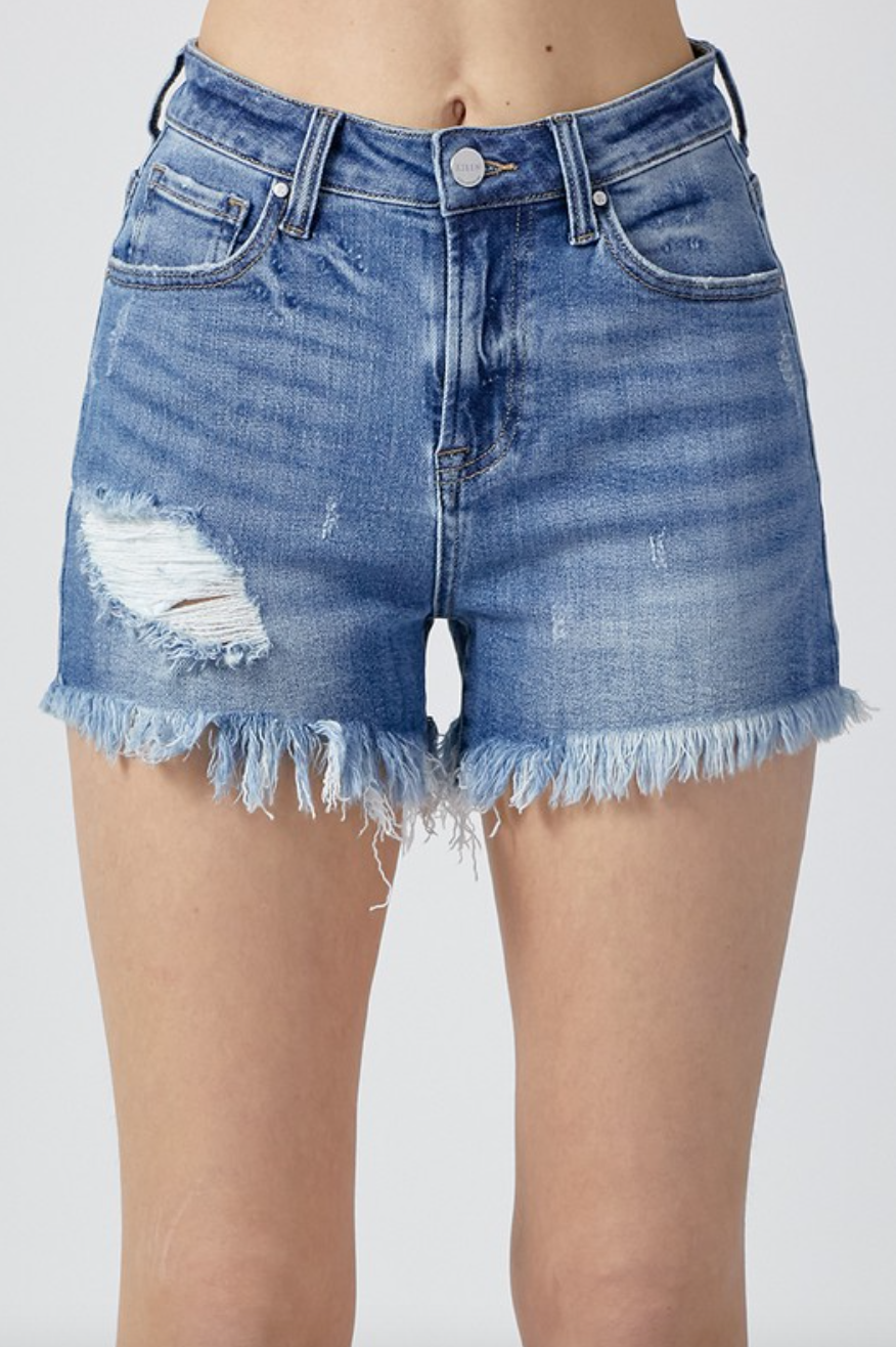 Koree High Rise Shorts