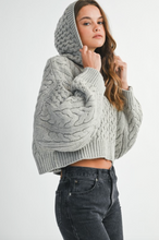 Load image into Gallery viewer, Eva Hooded Sweater
